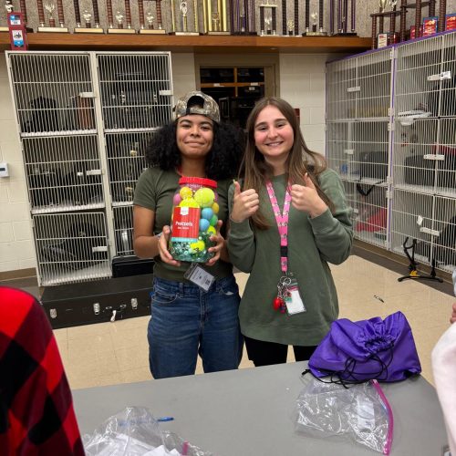 WhatsApp Image 2025-04-10 at 09.12.31 (7)