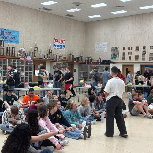 WhatsApp Image 2025-04-10 at 09.13.47 (4)